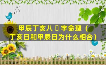 甲辰丁亥八 ☘ 字命理（丁亥日和甲辰日为什么相合）